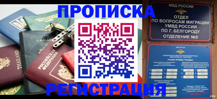временная регистрация недорого в Ершове